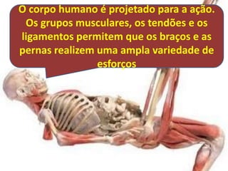 O corpo humano é projetado para a ação.
 Os grupos musculares, os tendões e os
ligamentos permitem que os braços e as
pernas realizem uma ampla variedade de
                esforços
 