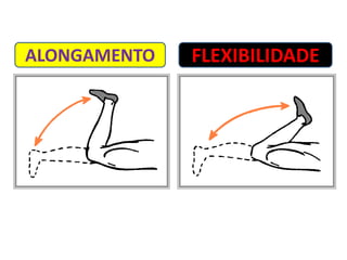 ALONGAMENTO   FLEXIBILIDADE
 