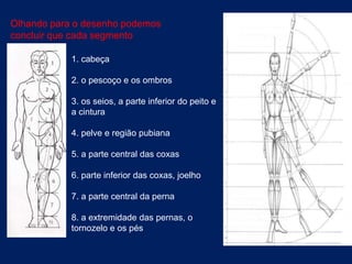 Olhando para o desenho podemos
concluir que cada segmento
contém:
            1. cabeça

            2. o pescoço e os ombros

            3. os seios, a parte inferior do peito e
            a cintura

            4. pelve e região pubiana

            5. a parte central das coxas

            6. parte inferior das coxas, joelho

            7. a parte central da perna

            8. a extremidade das pernas, o
            tornozelo e os pés
 
