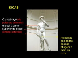 DICAS


O antebraço (do
pulso ao cotovelo)
é igual à parte
superior do braço
(ombro-cotovelo)

                     As pontas
                     dos dedos
                     da mão
                     atingem o
                     meio da
                     coxa
 