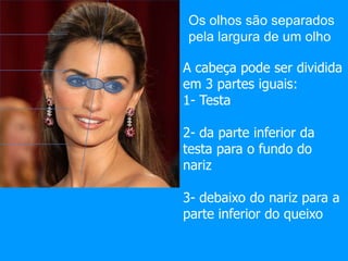 Os olhos são separados
pela largura de um olho

A cabeça pode ser dividida
em 3 partes iguais:
1- Testa

2- da parte inferior da
testa para o fundo do
nariz

3- debaixo do nariz para a
parte inferior do queixo
 