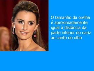 O tamanho da orelha
é aproximadamente
igual à distância da
parte inferior do nariz
ao canto do olho
 