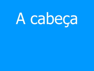 A cabeça
 