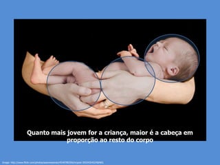 Quanto mais jovem for a criança, maior é a cabeça em
                                proporção ao resto do corpo


Image: http://www.flickr.com/photos/seanwessman/4540780356/in/pool-35034354524@N01
 