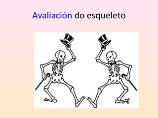 Avaliación do esqueleto 
 