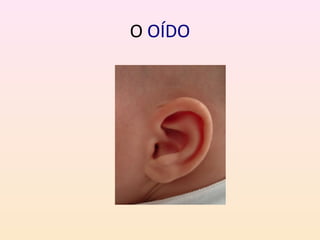 O OÍDO 
 