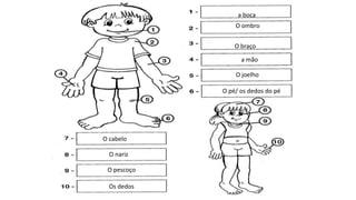 a boca
O ombro
O braço
a mão
O joelho
O pé/ os dedos do pé
O cabelo
O nariz
O pescoço
Os dedos
 