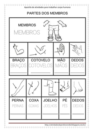 Apostila de atividades para trabalhar corpo humano
http://atividadesdaprofessorabel.blogspot.com.br/
PARTES DOS MEMBROS
BRAÇO
BRAÇOS
____________
COTOVELO
COTOVELOS
______________
MÃO
MAOS
__________
DEDOS
DEDOS
__________
PERNA
PERNAS
________
COXA
COXAS
_______
JOELHO
JOELHOS
________
PÉ
PÉS
_____
DEDOS
DEDOS
______
MEMBROS
MEMBROS
 