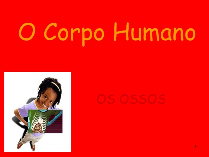 O Corpo Humano OS OSSOS 