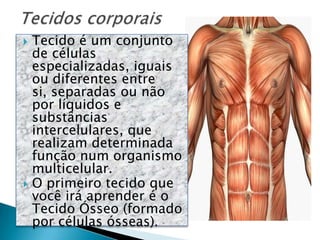    Tecido é um conjunto
    de células
    especializadas, iguais
    ou diferentes entre
    si, separadas ou não
    por líquidos e
    substâncias
    intercelulares, que
    realizam determinada
    função num organismo
    multicelular.
   O primeiro tecido que
    você irá aprender é o
    Tecido Ósseo (formado
    por células ósseas).
 