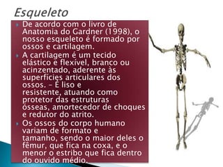    De acordo com o livro de
    Anatomia do Gardner (1998), o
    nosso esqueleto é formado por
    ossos e cartilagem.
   A cartilagem é um tecido
    elástico e flexível, branco ou
    acinzentado, aderente às
    superfícies articulares dos
    ossos. – É liso e
    resistente, atuando como
    protetor das estruturas
    ósseas, amortecedor de choques
    e redutor do atrito.
   Os ossos do corpo humano
    variam de formato e
    tamanho, sendo o maior deles o
    fêmur, que fica na coxa, e o
    menor o estribo que fica dentro
    do ouvido médio.
 