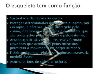    Sustentar e dar forma ao corpo;
   Proteger determinados órgãos vitais, como, por
    exemplo, o cérebro, que é protegido pelo
    crânio, e também os pulmões e o coração, que
    são protegidos pelas costelas e pelo esterno;
   Arcabouço de alavancas – os ossos formam
    alavancas que acionadas pelos músculos
    permitem o movimento do corpo humano;
   Fabricar algumas células sanguíneas através da
    medula óssea;
   Acumular íons de cálcio e fósforo.
 