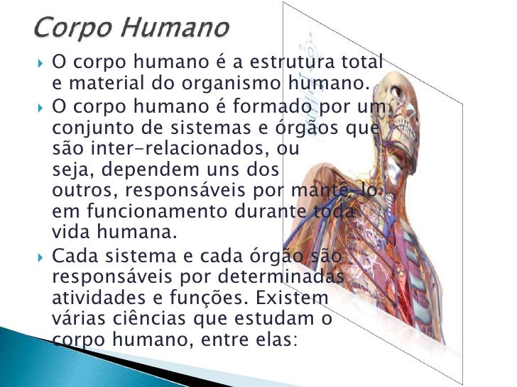 Qual O Maior Nível Organizacional Do Corpo Humano