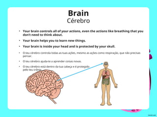 Brain
Cérebro
• Your brain controls all of your actions, even the actions like breathing that you
don’t need to think about.
• Your brain helps you to learn new things.
• Your brain is inside your head and is protected by your skull.
• O teu cérebro controla todas as tuas ações, mesmo as ações como respiração, que não precisas
pensar.
• O teu cérebro ajuda-te a aprender coisas novas.
• O teu cérebro está dentro da tua cabeça e é protegido
pelo teu crânio.
 