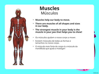 Muscles
Músculos
• Muscles help our body to move.
• There are muscles of all shapes and sizes
in our body.
• The strongest muscle in your body is the
muscle in your jaw that helps you to chew!
• Os músculos ajudam o nosso corpo a mover.
• Existem músculos de todas as formas e
tamanhos no nosso corpo.
• O músculo mais forte do corpo é o músculo da
mandíbula que ajuda a mastigar!
 
