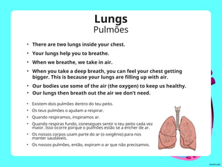 Lungs
Pulmões
• There are two lungs inside your chest.
• Your lungs help you to breathe.
• When we breathe, we take in air.
• When you take a deep breath, you can feel your chest getting
bigger. This is because your lungs are filling up with air.
• Our bodies use some of the air (the oxygen) to keep us healthy.
• Our lungs then breath out the air we don’t need.
• Existem dois pulmões dentro do teu peito.
• Os teus pulmões o ajudam a respirar.
• Quando respiramos, inspiramos ar.
• Quando respiras fundo, conesegues sentir o teu peito cada vez
maior. Isso ocorre porque o pulmões estão se a encher de ar.
• Os nossos corpos usam parte do ar (o oxigênio) para nos
manter saudáveis.
• Os nossos pulmões, então, expiram o ar que não precisamos.
 