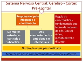 Sistema Nervoso Central: Cérebro - Córtex
Pré-Frontal
Regula as
características
fundamentais que
fazem de cada um
de nós, um ser
único,
inconfundível e
distinto.
Monitor do nosso comportamento emocional e afectivo
Núcleo da nossa personalidade
Responsável pela
integração e
coordenação
De muitas
estruturas
corticais e
subcorticais
Dos
comportamentos
emocionais e
intelectuais
 