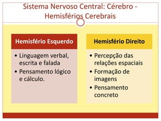 Sistema Nervoso Central: Cérebro -
Hemisférios Cerebrais
Hemisfério Esquerdo
• Linguagem verbal,
escrita e falada
• Pensamento lógico
e cálculo.
Hemisfério Direito
• Percepção das
relações espaciais
• Formação de
imagens
• Pensamento
concreto
 