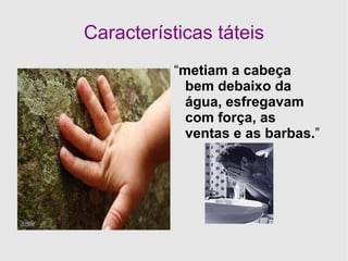 Características visuais “ mas a sua infinidade de portas e janelas.” Blog Literatura Brasileira Digital 