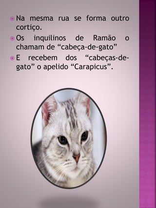  Na mesma rua se forma outro 
cortiço. 
 Os inquilinos de Ramão o 
chamam de “cabeça-de-gato” 
 E recebem dos “cabeças-de-gato” 
o apelido “Carapicus”. 
 