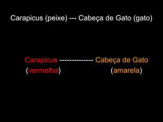 Carapicus (peixe) --- Cabeça de Gato (gato)
Carapicus -------------- Cabeça de Gato
(vermelha) (amarela)
 