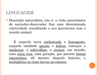 LINGUAGEM
 Descrição naturalista, isto é, a visão panorâmica
do narrador-observador fixa uma determinada
coletividade ressaltando o seu parentesco com o
mundo animal:
E naquela terra encharcada e fumegante,
naquela umidade quente e lodosa, começou a
minhocar, a esfervilhar, a crescer, um mundo,
uma coisa viva, uma geração, que parecia brotar
espontânea, ali mesmo, daquele lameiro, e
multiplicar-se como larvas no esterco.
 