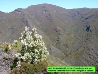Alto do Monteiro (1.142 m). Polo alto da aba sur discorre a estrada de Seceda a Folgoso e Seoane. 
