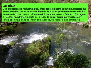 OS RÍOS Coa excepción do río Sarria, que, procedente da serra do Oribio, desauga na conca do Miño, todos os cursos fluviais do Courel pertencen á conca do Sil, destacando o Lor, co seu afluente o Lóuzara, así como o Selmo, o Quiroga e o Soldón, que drenan a parte sur e leste da serra. Teñen percorridos con fortes desniveis onde abondan os cavorcos, os rápidos e as pincheiras.  