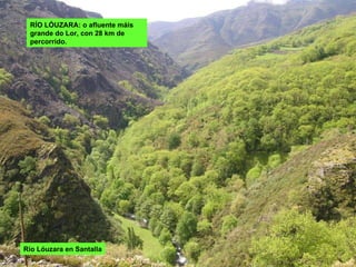 Río Lóuzara en Santalla RÍO LÓUZARA: o afluente máis grande do Lor, con 28 km de percorrido. 