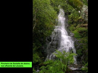Pincheira de Santalla de abaixo, nun afluente do Lóuzara. 