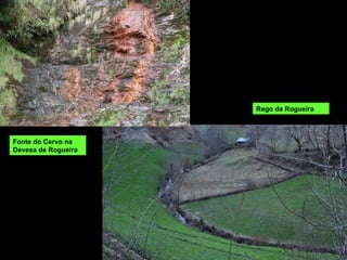 Rego da Rogueira Fonte do Cervo na Devesa de Rogueira 