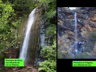 Pincheira de Rixio, nun afluente do Lor en Vilamor. Pincheira en Folgoso, nun afluente do Lor. 