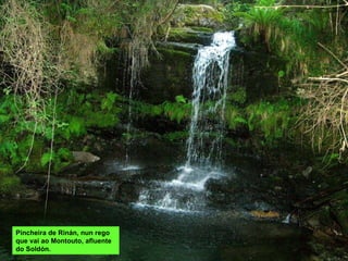 Pincheira de Rinán, nun rego que vai ao Montouto, afluente do Soldón. 