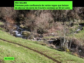 RÍO SELMO Fórmase pola confluencia de varios regos que baixan da aba sur da serra do Courel e xúntase ao Sil en León.  Río Visuña 