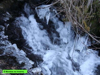 O Murelos no inverno. 