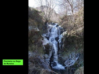 Pincheira no Rego de Murelos 