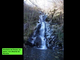 Pincheira de Fócaro, na Seara, nun afluente do Murelos. 
