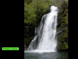 Pincheira en Vieiros 
