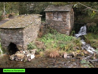 Muíños en Ferramulín 