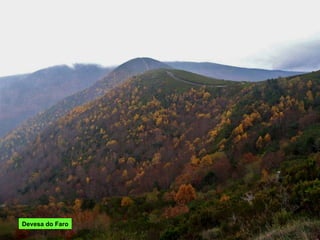 Devesa do Faro 