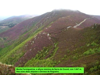 Monte Formigueiros, a altura máxima da Serra do Courel, con 1.647 m. Nas súas abas atópase a Devesa de Rogueira. 