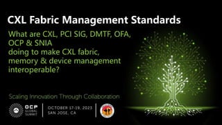 What are CXL, PCI SIG, DMTF, OFA,
OCP & SNIA
doing to make CXL fabric,
memory & device management
interoperable?
CXL Fabric Management Standards
 
