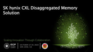 SK hynix CXL Disaggregated Memory
Solution
 