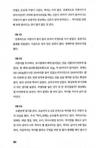 낙엽은 곳곳에 구멍이 나있다. 액비는 아직 없다. 전체적으로 지렁이수가
적어서일까? 저녁때 들여다보았을 때는 신문지 위까지 나와서 돌아다니는
지렁이가 많이 보였지만 점심때는 신문지 밑에 뭉쳐있고…. 먹이 OJ을 관찰
해 보면 줄어드는 것이 많지 않은 것 같다.
5월 4일
전체적으로 지렁이가 힘이 없어 보여서 부엽토를 사서 넣었다. 골판지로
둘레를 민F들었다. 이것으로 상자 안은 암혹이 됐다. 양배추랑 OJ=파조각을
췄다.
5월 8일
지렁이를 추가하다. 낚시점에서 팩에 들어있는 것을 사왔다(이것밖에 없
었다). 한 팩에 350엔에금포햄으로 110g, 약 60마리가 들어있다. 전에는
180-200g였으니깐 100마리쯤 들어 있었는가?(이것으로 250마리정도 됐
다) 이번에 산 것도 전에 상자에 들어있는 것을 샀을 때처럼 숫자는 확실하
겠지 . 밑의 상자에 액비가 있었다. 상자구석에 있었다. 확실하게 하기위해
서 작은 접시를 놓았다. 부엽토를 넣은 것이 잘 한 것이었을까? 점심때는
몇 마리밖에 안 보인다. 먹이 밑에도 몇 마리 있다. 먹이를 치우자 숨어 들
어간다.
6월 5일
오랜만에 일기를 쓴다. 오늘까지 2~5일 간격으로 먹이를 주고 지령이 상
자 모습을 봤다. 우선 「먹이」상태는 순조롭게 없어지고 있다. 먹이로서는
양배추， 메론 껍질， 양파， 오이， 바나나껍질 등이다. 먹이ÓJ을 재보고 싶지
만 아직 상자가 너무 적어서 첼 필요까지는 없다. 적어도 깊이가 2배 펼요
하다. 지금까지는 먹이를 줄려고 구멍을 파면 판 흙이 l:lJ빼를 해서 팔수가
84
 