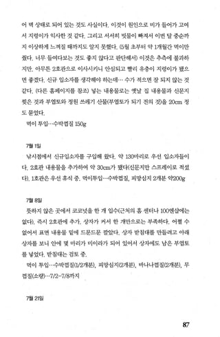 어 벽 상태로 되어 있는 것도 사실이다. 이것이 원인으로 비가 들어가 고여
서 지렁이가 익사한 것 같다. 그리고 서서히 빗물이 빠져서 이번 달 중순까
지 이상하게 느껴질 때까지도 알지 못했다. (5월 초부터 약 1개월간 먹이만
췄다. 너무 들여다보는 것도 좋지 않다고 판단해서) 이것은 추측에 불과하
지만. 아무튼 2호관으로 이사시키니 안심되고 빨리 유층이 지렁이가 됐으
면 좋겠다. 신규 입소자를 생각해야 동}는데 ... 수가 적으면 잘 되지 않는 것
같다. (다른 홈페이지를 참조) 넣는 내용물로는 옛날 집 내용물과 신문지
찢은 것과 부엽토와 정원 쓰레기 산물(부엽토가 되기 전의 것)을 20cm 정
도묻었다.
먹이 투입…수박껍질 150g
7월 1 일
낚시점에서 신규업소자를 구입해 왔다. 약 130마리로 우선 입소자들이
다.2호관 내용물을 추가하여 약 30cm가 됐다(신문지만 스프레이로 적셨
다). 1호관은우선 휴식 중. 먹이투입 ...수박껍질， 피망심지 2개분 약200g
7월 8일
뭇하지 않은 곳에서 코묘덧을 한 개 입수(근처의 흠 센터나 100엔삽에는
없다). 즉시 2호판11 추가. 상자가 커서 한 개만으로는 부족하다. 어쩔 수
없어서 표면 내용물 밑에 드문드문 깔았다. 상자 받침대를 만들려고 아래
상자를 보니 안에 몇 마리가 미이라가 되어 있어서 상자에도 남은 부엽토
를 넣었다. 받침대는 검토 중.
먹이 투입 ...수박껍질(1/2개분)， 피망심지 (2개분)， 바나나껍질 (2개분)， 무
껍질(소량)" '7/2-7/8까지
7월 21일
87
 