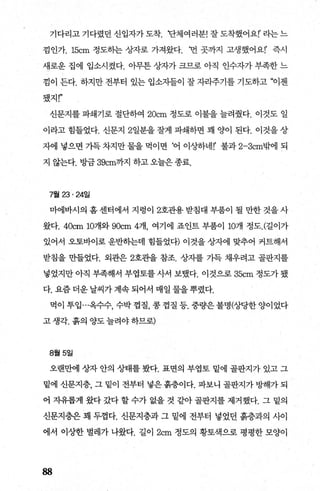 기다리고 기다렸던 신입자가 도착. ‘단체여러분! 잘 도착했어요!’ 라는 느
낌인가. 15cm 정도하는 상자로 가져왔다. 번 곳까지 고생했어요!’ 즉시
새로운집에 입소시켰다. 아무튼상자가크므로아직 인수자가부족한느
낌이 든다. 쩨만 전부터 있는 입소자들이 잘 자라주기를 기도하고 “이젠
됐지!"
신문지를 파쇄기로 절단하여 20cm 정도로 이불을 늘려줬다. 이것도 일
이라고 힘들었다. 신문지 2일분을 잘게 파쇄하면 꽤 양이 된다. 이것을 상
자에 넣으면 가득 차지만 물을 먹이면 ‘어 이상하네!’ 불과 2-3cm밖에 되
지 않는다. 빙L금 39cm까지 하고 오늘은 종료.
7월 23.24일
마에바시의 홈센터에서 지렁이 2호관용받침대 부품이 될 만한 것을사
왔다. 40cm 10개와 90cm 4개 여기에 죠인트 부품이 10개 정도. (길이가
있어서 오토바이로 운반하는데 힘들었다) 이것을 상자에 맞추어 커트해서
받침을 만들었다. 외관은 2호관을 참조. 상자를 가득 채우려고 골판지를
넣었지만 아직 부족해서 부엽토를 사서 보댔다. 이것으로 35cm 정도가 됐
다. 요즘더운날씨가계속되어서 매일물을뿌렸다.
먹이 투입 ...옥수수， 수박 껍질， 콩 껍질 등. 중량은불명(상당한 양이었다
고생각.흙의양도늘려야하므로)
8월 5일
오랜만에 상자 안의 상태를 봤다. 표면의 부엽토 밑에 골판지가 있고 그
밑에 신문지층， 그 밑이 전부터 넣은 흙층이다. 파보니 골판지가 빙빼가 되
어 자유롭게 왔다 갔다 할 수가 없을 것 같아 골판지를 제거했다. 그 밑의
신문지층은 꽤 두껍다. 신문지층과 그 밑에 전부터 넣었던 흙층과의 사이
에서 이상한 벌레가 나왔다. 길이 2cm 정도의 황토색으로 펑펑한 모양이
88
 