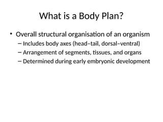 OCR_A_Biology_Body_Plans a LEVEL BIOLOFY GENETICS | PPTX