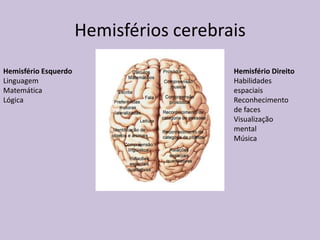 Hemisférios cerebrais
Hemisfério Esquerdo
Linguagem
Matemática
Lógica
Hemisfério Direito
Habilidades
espaciais
Reconhecimento
de faces
Visualização
mental
Música
 