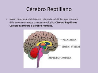 • Nosso cérebro é dividido em três partes distintas que marcam
diferentes momentos da nossa evolução: Cérebro Reptiliano,
Cérebro Mamífero e Cérebro Humano.
Cérebro Reptiliano
 
