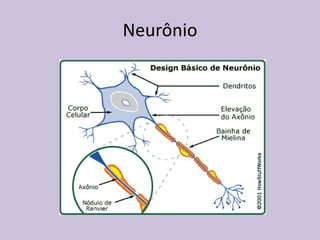 Neurônio
 